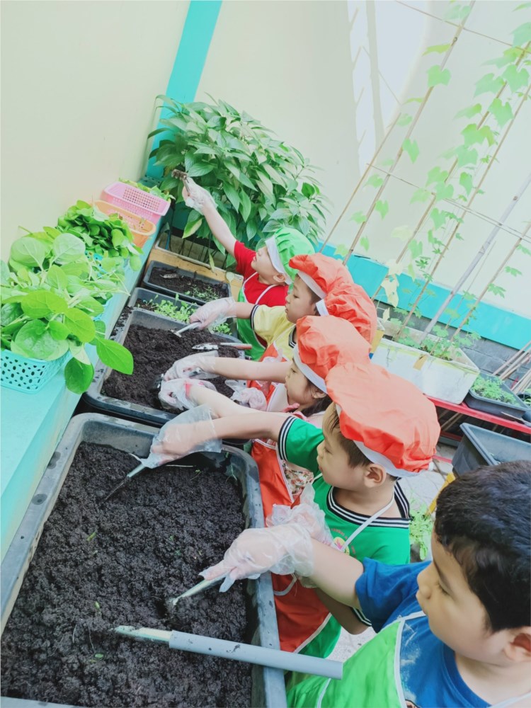 Nhấn vào ảnh để phóng to