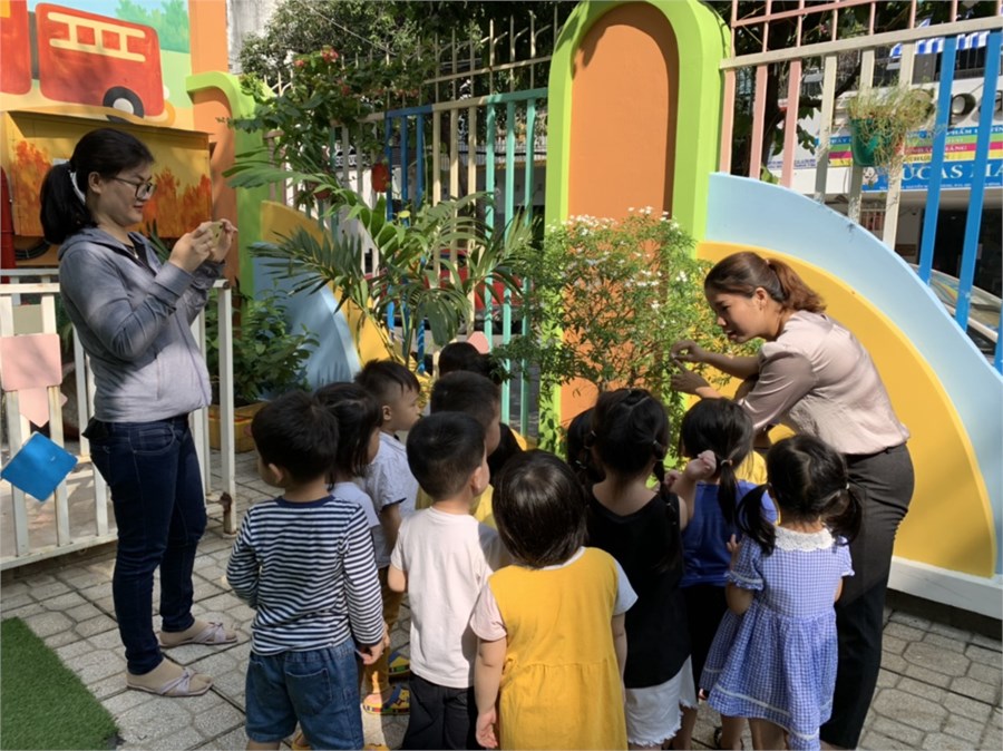 Nhấn vào ảnh để phóng to