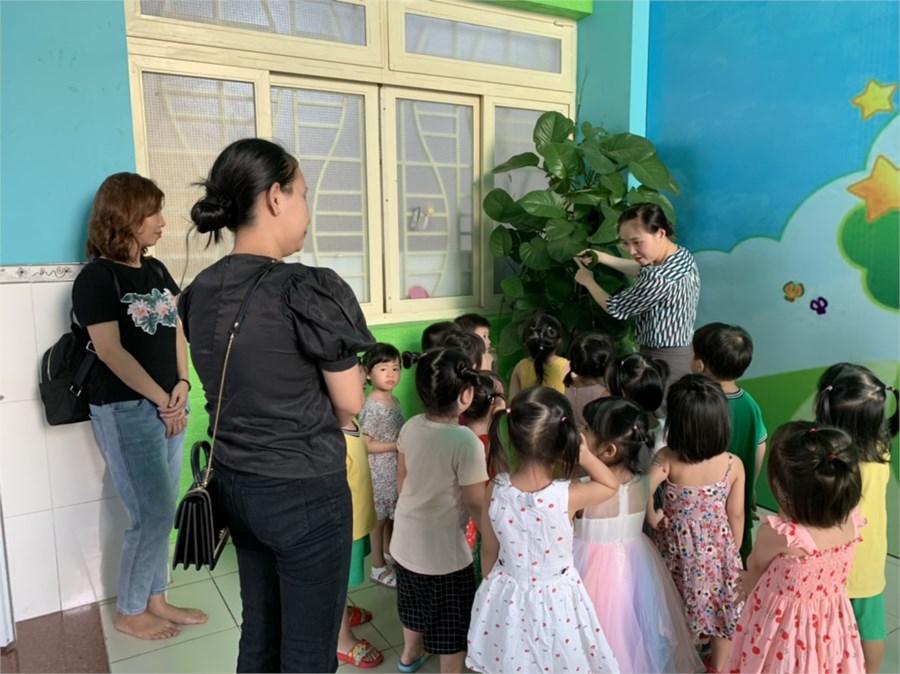 Nhấn vào ảnh để phóng to