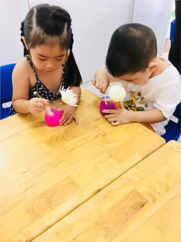 Nhấn vào ảnh để phóng to