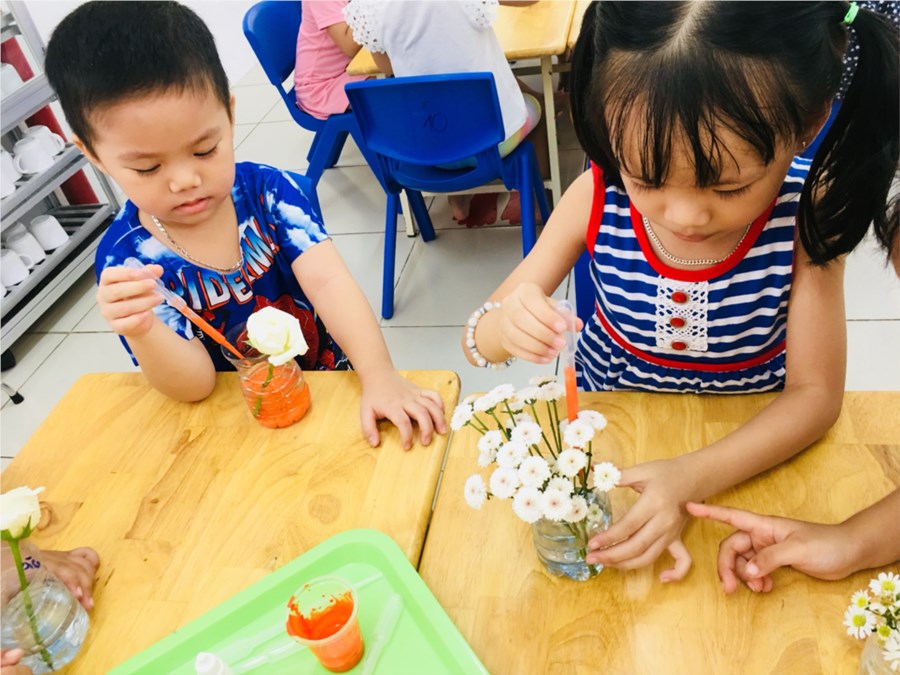Nhấn vào ảnh để phóng to