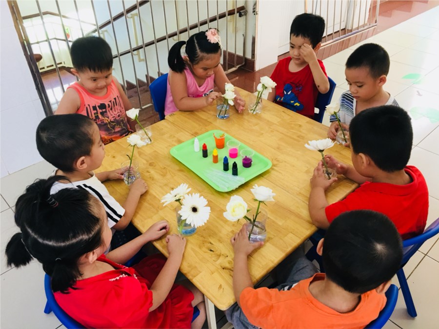 Nhấn vào ảnh để phóng to