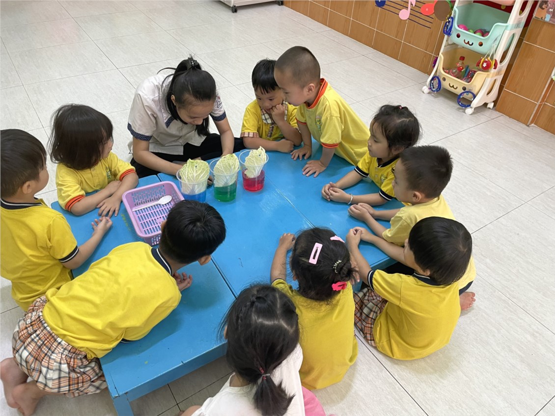 Nhấn vào ảnh để phóng to