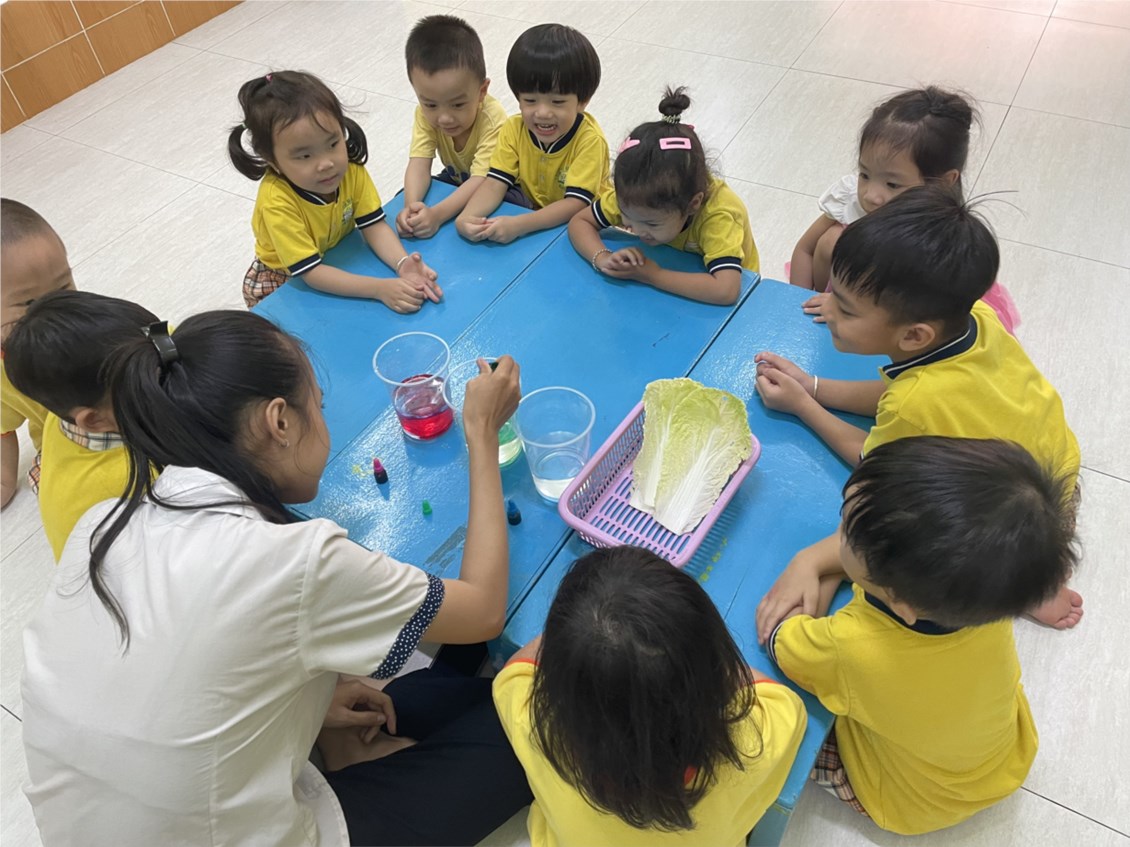 Nhấn vào ảnh để phóng to