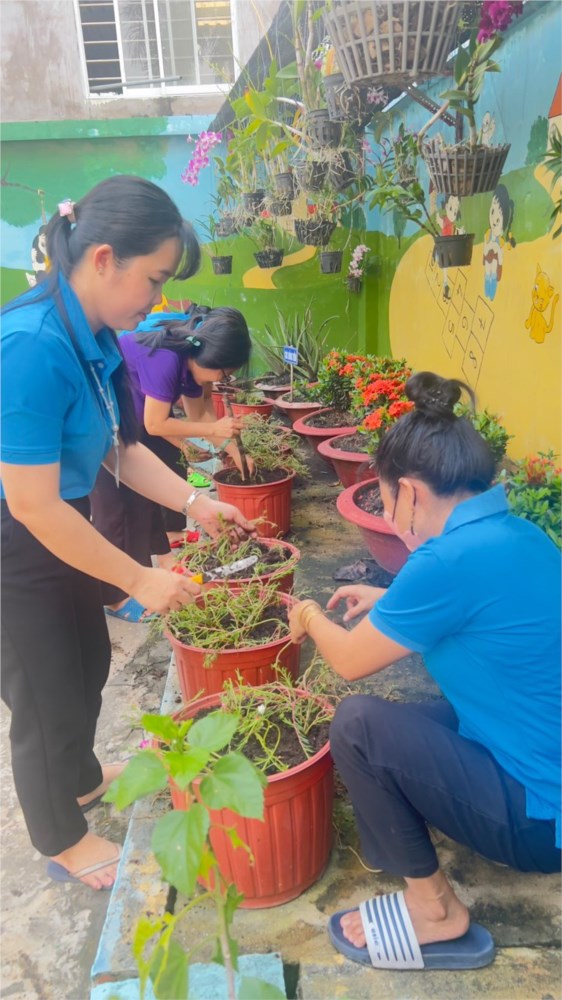 Nhấn vào ảnh để phóng to