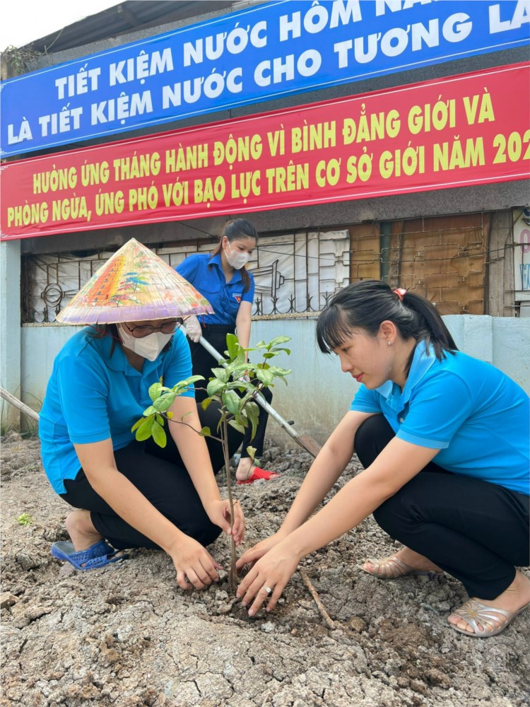 Nhấn vào ảnh để phóng to