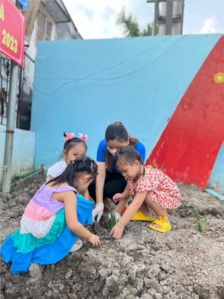 Nhấn vào ảnh để phóng to