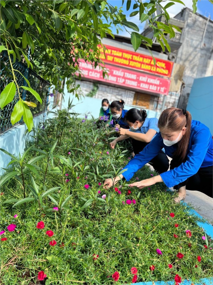 Nhấn vào ảnh để phóng to