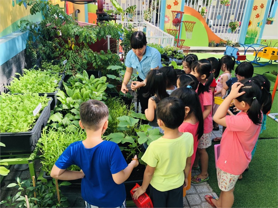 Nhấn vào ảnh để phóng to