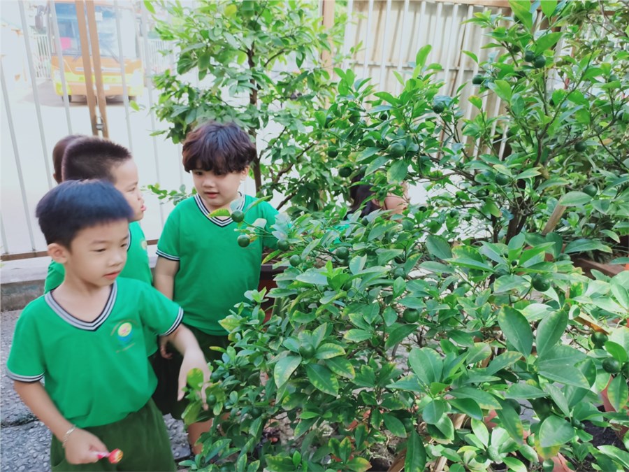 Nhấn vào ảnh để phóng to