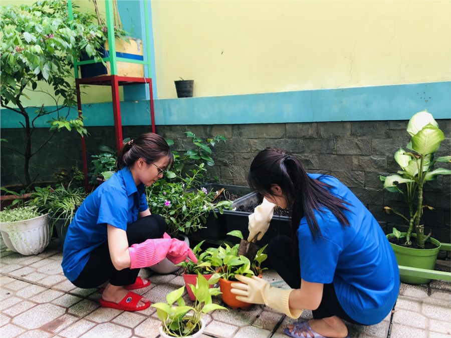 Nhấn vào ảnh để phóng to