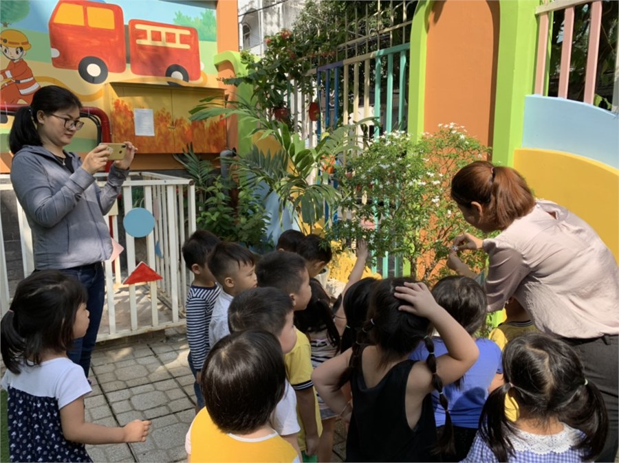 Nhấn vào ảnh để phóng to