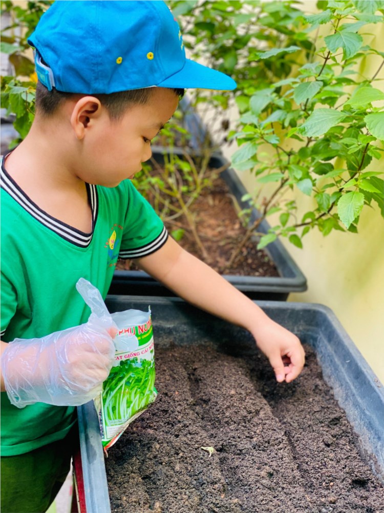 Nhấn vào ảnh để phóng to