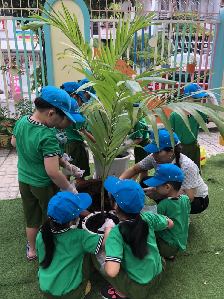 Nhấn vào ảnh để phóng to