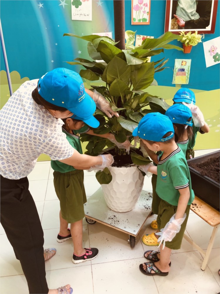 Nhấn vào ảnh để phóng to