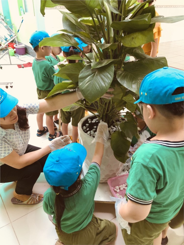 Nhấn vào ảnh để phóng to