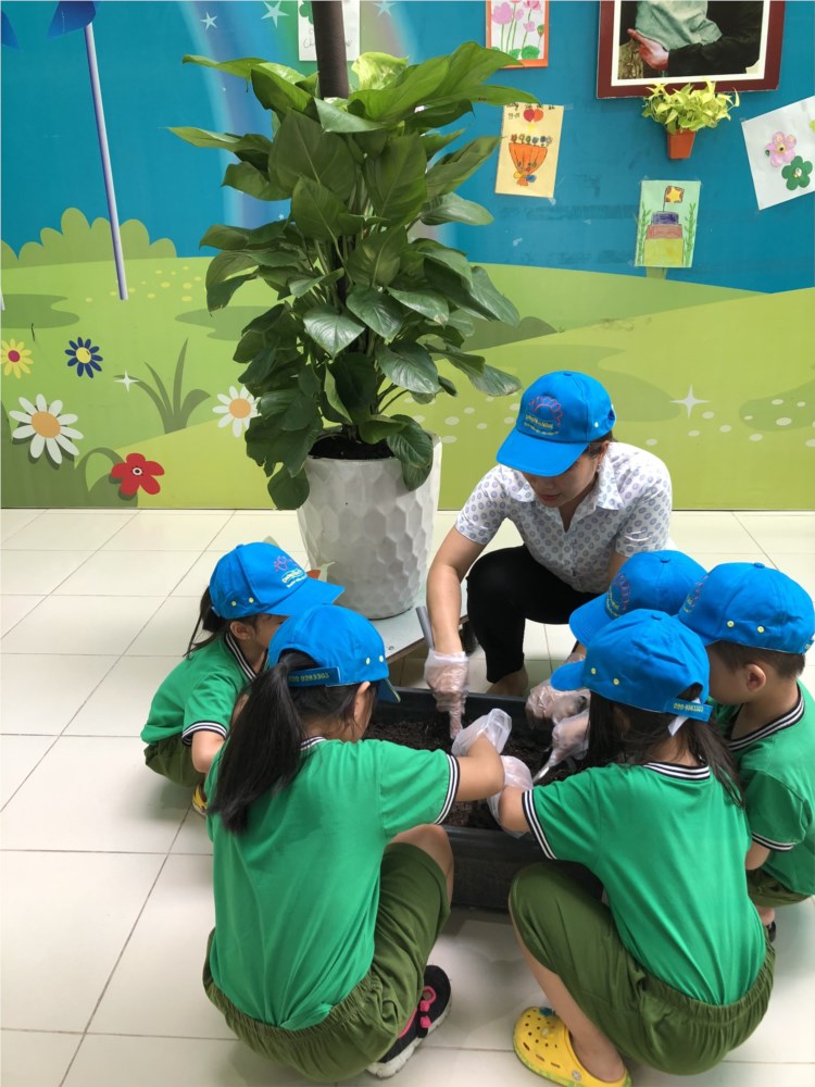 Nhấn vào ảnh để phóng to