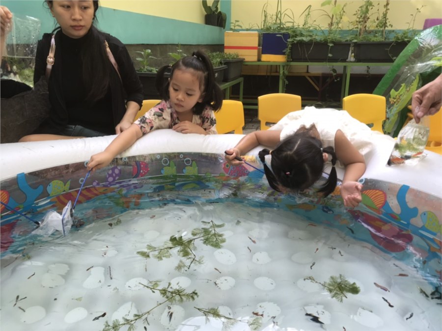 Nhấn vào ảnh để phóng to