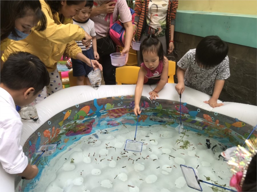 Nhấn vào ảnh để phóng to