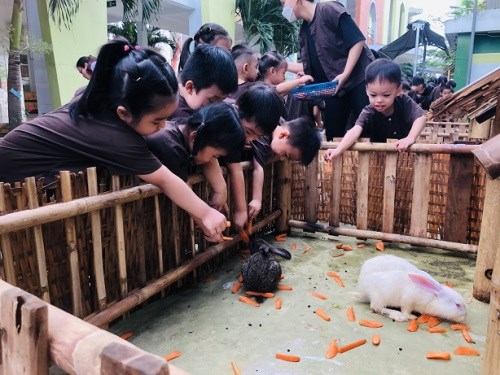Nhấn vào ảnh để phóng to