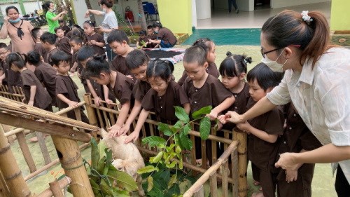 Nhấn vào ảnh để phóng to