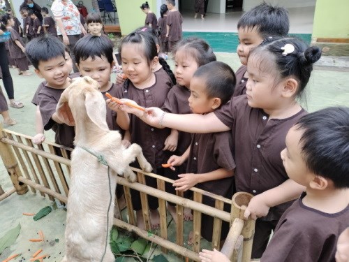 Nhấn vào ảnh để phóng to