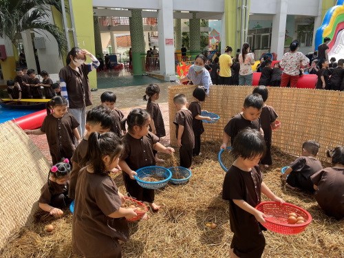 Nhấn vào ảnh để phóng to