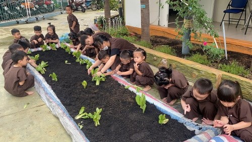 Nhấn vào ảnh để phóng to