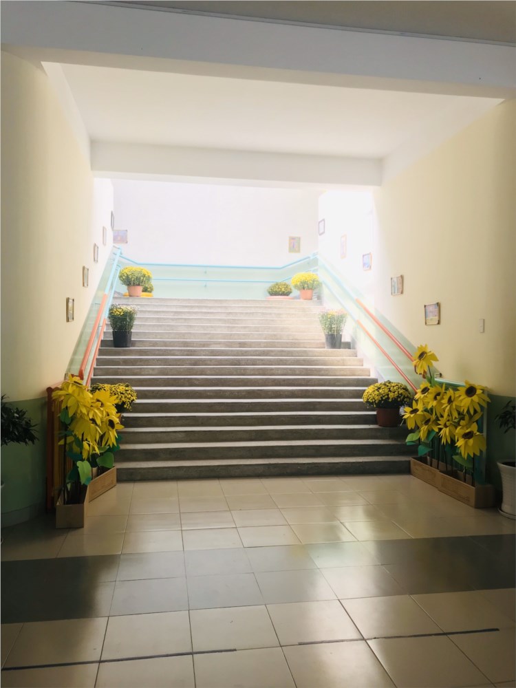 Nhấn vào ảnh để phóng to
