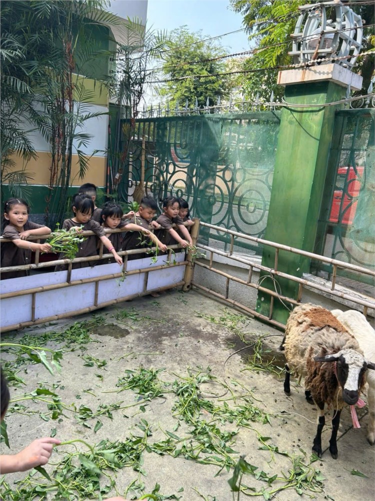 Nhấn vào ảnh để phóng to