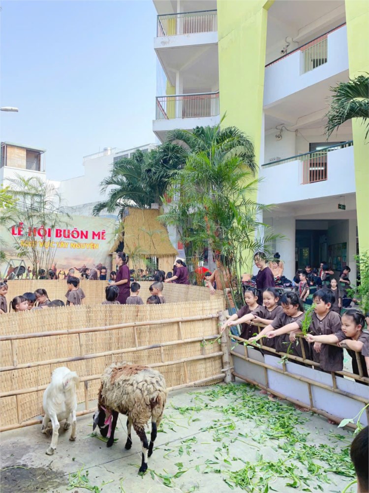 Nhấn vào ảnh để phóng to