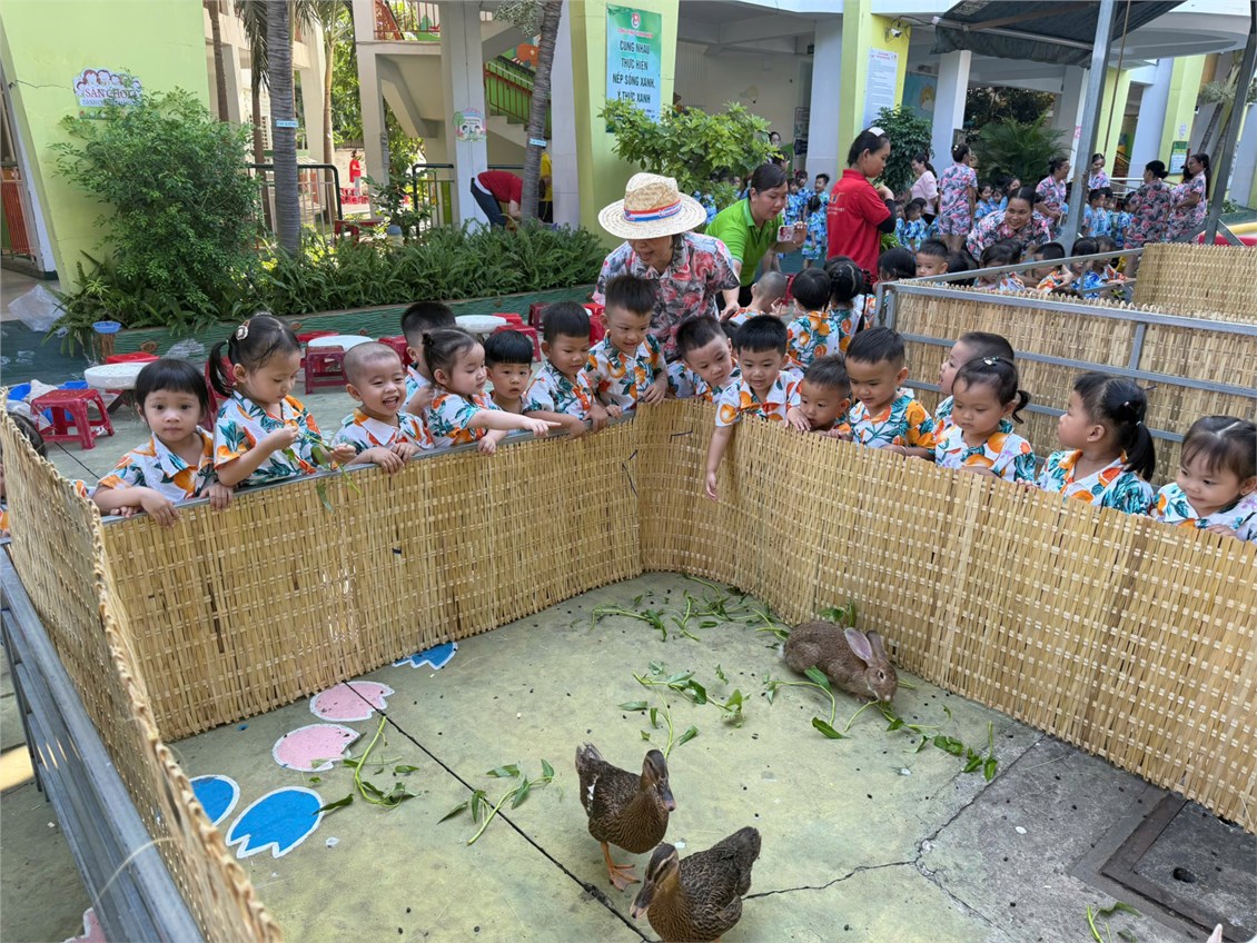 Nhấn vào ảnh để phóng to
