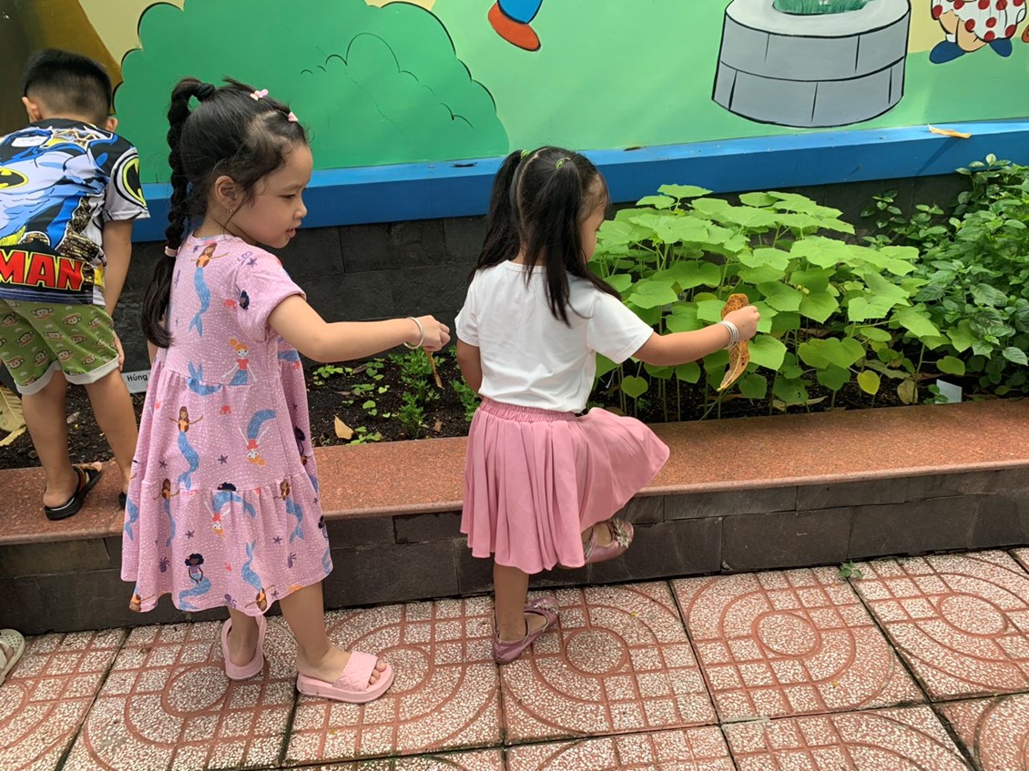 Nhấn vào ảnh để phóng to