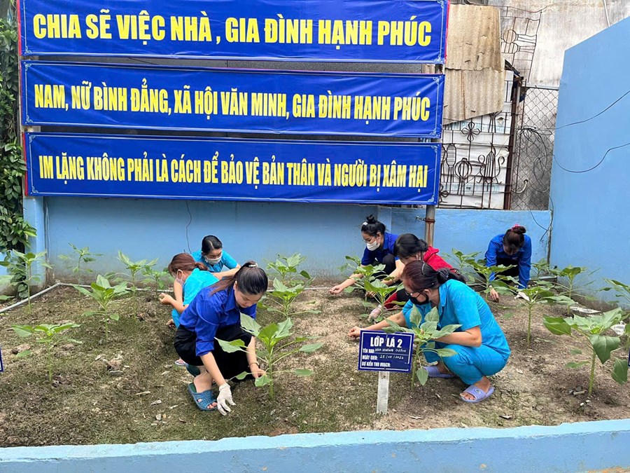 Nhấn vào ảnh để phóng to