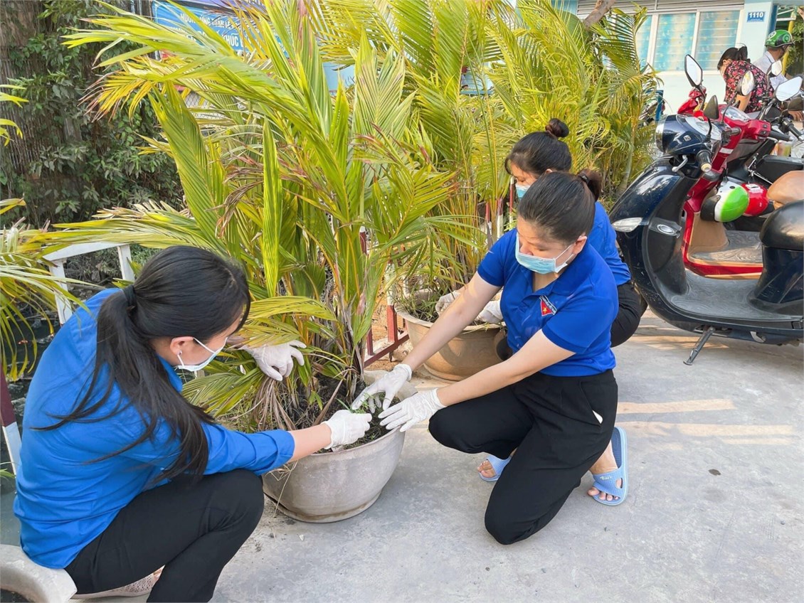 Nhấn vào ảnh để phóng to