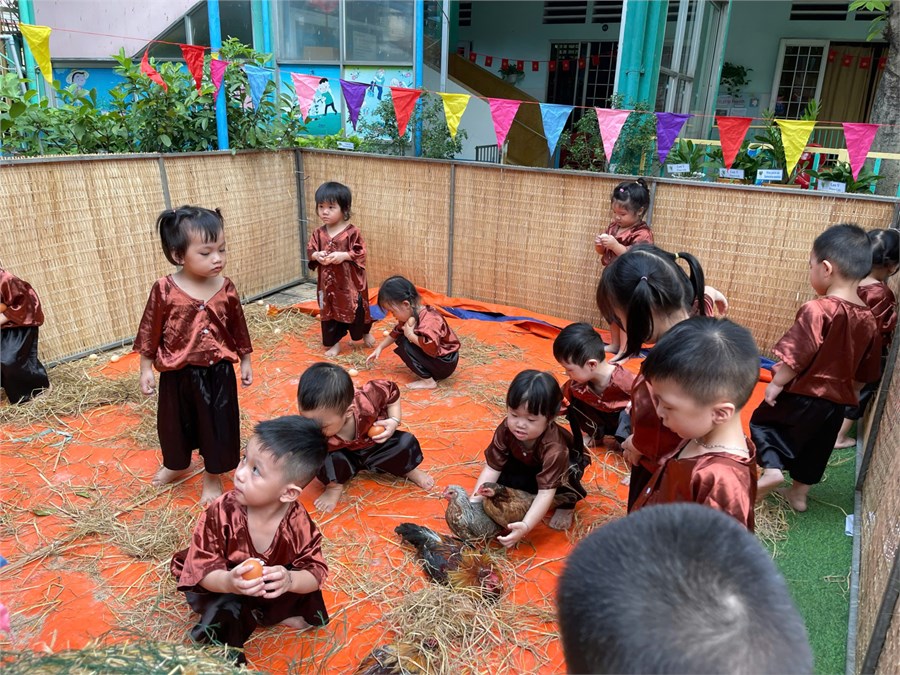 Nhấn vào ảnh để phóng to
