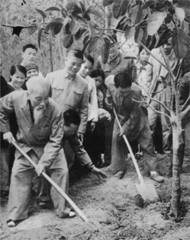 Những hình ảnh hoạt động của Bác